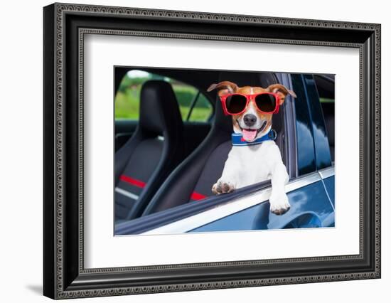 Dog Window Car-Javier Brosch-Framed Photographic Print