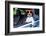 Dog Window Car-Javier Brosch-Framed Photographic Print