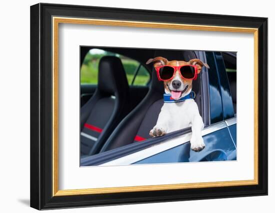 Dog Window Car-Javier Brosch-Framed Photographic Print