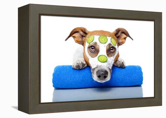 Dog With A Beauty Mask-Javier Brosch-Framed Premier Image Canvas