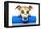 Dog With A Beauty Mask-Javier Brosch-Framed Premier Image Canvas