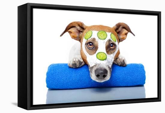 Dog With A Beauty Mask-Javier Brosch-Framed Premier Image Canvas