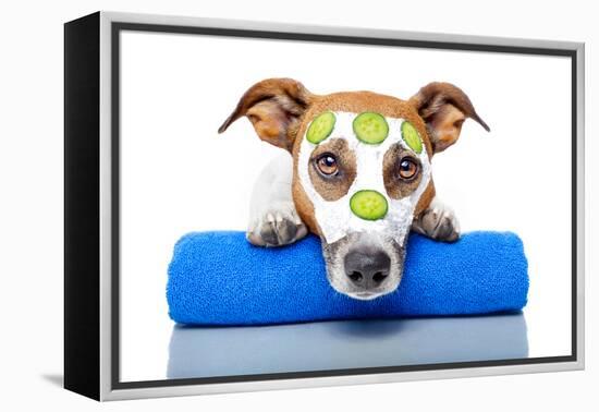 Dog With A Beauty Mask-Javier Brosch-Framed Premier Image Canvas