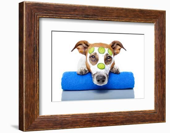 Dog With A Beauty Mask-Javier Brosch-Framed Photographic Print