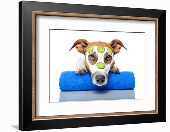 Dog With A Beauty Mask-Javier Brosch-Framed Photographic Print