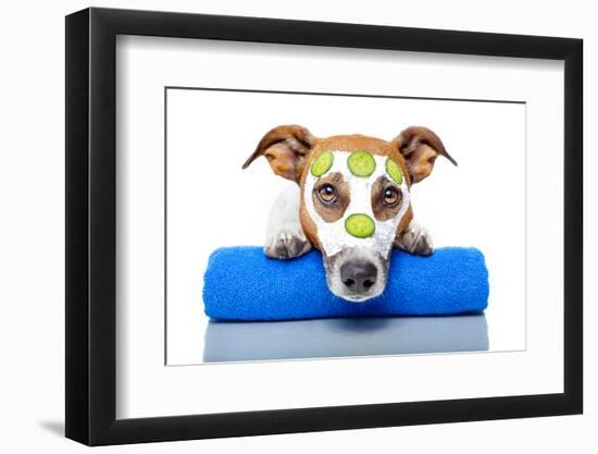 Dog With A Beauty Mask-Javier Brosch-Framed Photographic Print