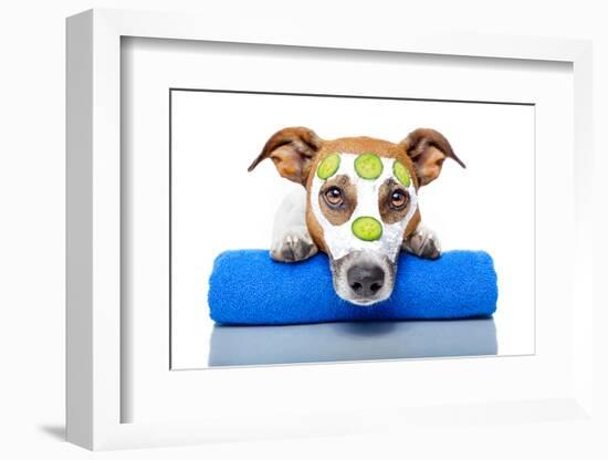 Dog With A Beauty Mask-Javier Brosch-Framed Photographic Print