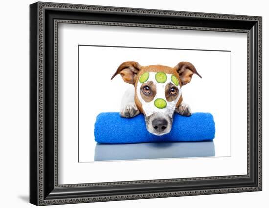 Dog With A Beauty Mask-Javier Brosch-Framed Photographic Print