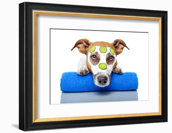 Dog With A Beauty Mask-Javier Brosch-Framed Photographic Print