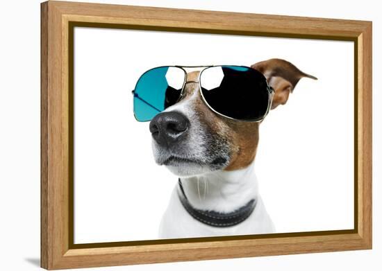 Dog With Funny Shades-Javier Brosch-Framed Premier Image Canvas