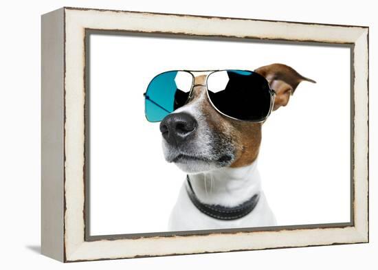 Dog With Funny Shades-Javier Brosch-Framed Premier Image Canvas