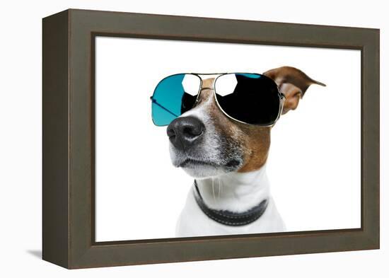 Dog With Funny Shades-Javier Brosch-Framed Premier Image Canvas