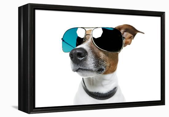 Dog With Funny Shades-Javier Brosch-Framed Premier Image Canvas