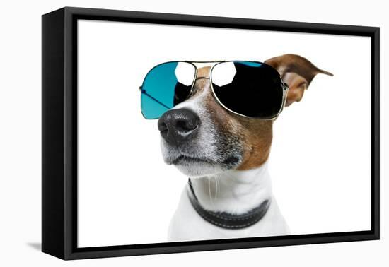 Dog With Funny Shades-Javier Brosch-Framed Premier Image Canvas