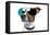 Dog With Funny Shades-Javier Brosch-Framed Premier Image Canvas