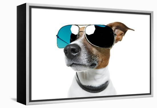 Dog With Funny Shades-Javier Brosch-Framed Premier Image Canvas