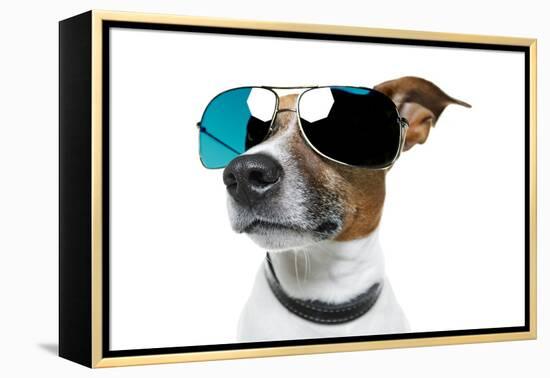 Dog With Funny Shades-Javier Brosch-Framed Premier Image Canvas