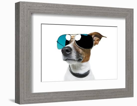 Dog With Funny Shades-Javier Brosch-Framed Photographic Print