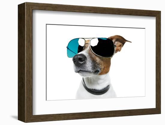 Dog With Funny Shades-Javier Brosch-Framed Photographic Print