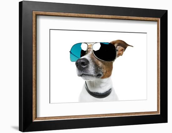 Dog With Funny Shades-Javier Brosch-Framed Photographic Print