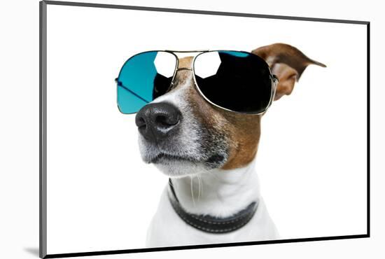 Dog With Funny Shades-Javier Brosch-Mounted Photographic Print