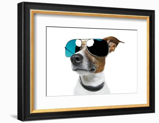 Dog With Funny Shades-Javier Brosch-Framed Photographic Print