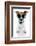 Dog with Funny Shades-Javier Brosch-Framed Photographic Print