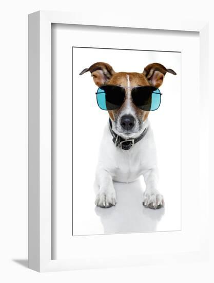 Dog with Funny Shades-Javier Brosch-Framed Photographic Print