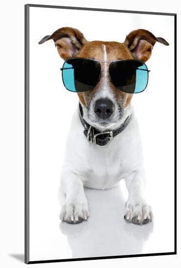 Dog with Funny Shades-Javier Brosch-Mounted Photographic Print