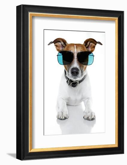 Dog with Funny Shades-Javier Brosch-Framed Photographic Print