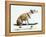 Dog with Helmet Skateboarding-Chris Rogers-Framed Premier Image Canvas