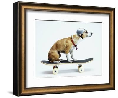 Skateboard Luxury - Marron Beige - Wood - Art Of Living - Louis
