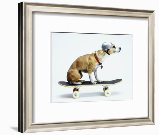 Dog with Helmet Skateboarding-Chris Rogers-Framed Photographic Print