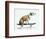 Dog with Helmet Skateboarding-Chris Rogers-Framed Photographic Print