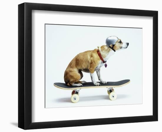 Dog with Helmet Skateboarding-Chris Rogers-Framed Photographic Print