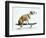 Dog with Helmet Skateboarding-Chris Rogers-Framed Photographic Print