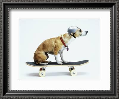 Skateboard Luxury - Marron Beige - Wood - Art Of Living - Louis