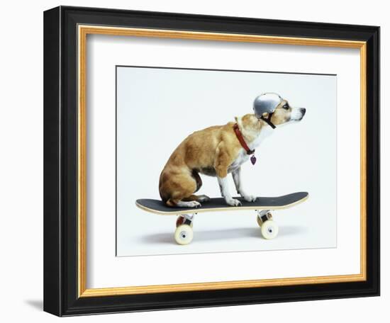 Dog with Helmet Skateboarding-Chris Rogers-Framed Photographic Print