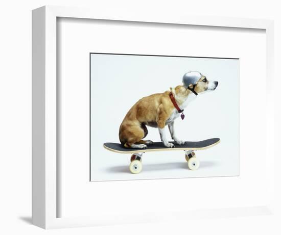 Dog with Helmet Skateboarding-Chris Rogers-Framed Photographic Print