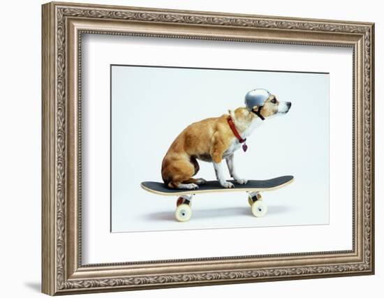 Dog with Helmet Skateboarding-Chris Rogers-Framed Photographic Print