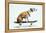 Dog with Helmet Skateboarding-Chris Rogers-Framed Premier Image Canvas