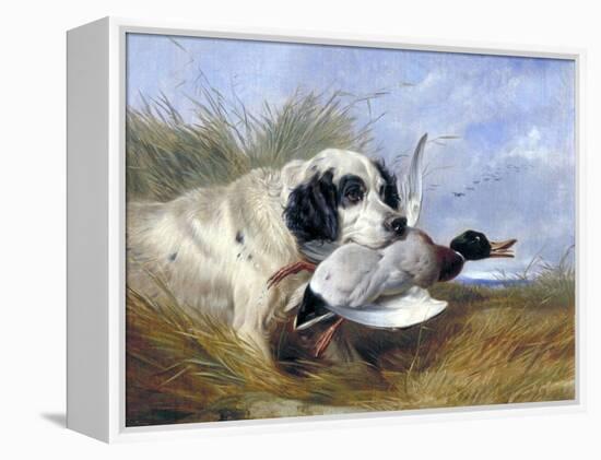 Dog with Wild Duck, 19th Century-Richard Ansdell-Framed Premier Image Canvas