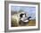 Dog with Wild Duck, 19th Century-Richard Ansdell-Framed Giclee Print