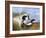 Dog with Wild Duck, 19th Century-Richard Ansdell-Framed Giclee Print
