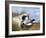 Dog with Wild Duck, 19th Century-Richard Ansdell-Framed Giclee Print