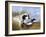 Dog with Wild Duck, 19th Century-Richard Ansdell-Framed Giclee Print