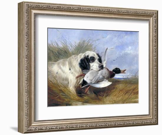 Dog with Wild Duck, 19th Century-Richard Ansdell-Framed Giclee Print