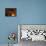Dog-Alberto Giacometti-Premium Photographic Print displayed on a wall
