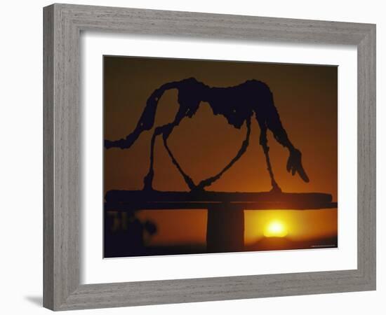 Dog-Alberto Giacometti-Framed Photographic Print