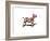 Dog-Mark Ashkenazi-Framed Giclee Print